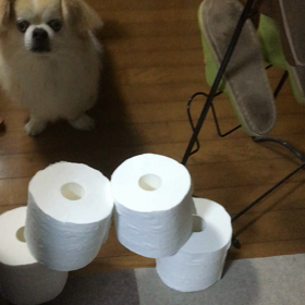 またまた捨て出したの画像