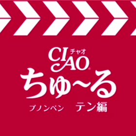 今日のちゅーるの画像