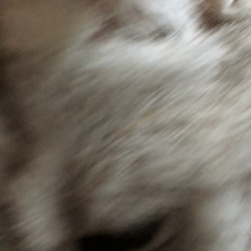 アラーム。の画像