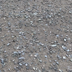 蜘蛛のいたずらの画像