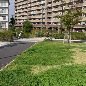 辰、交通公園の画像