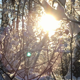 喜びを感じながら、生きることの画像