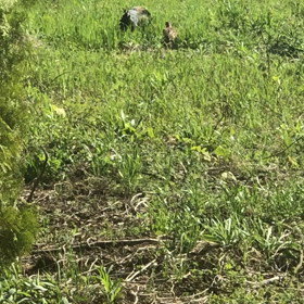 ステイホームの楽しみ！の画像