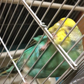 可愛い♡の画像