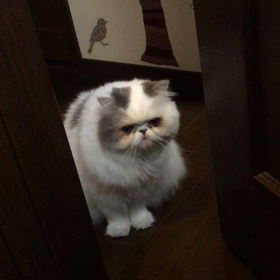 いつかの…の画像