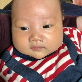 日々成長の画像