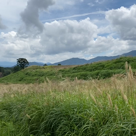 “自然と音遊び” プロジェクト vol.096！の画像