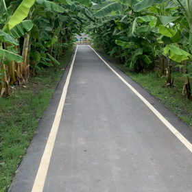 1年ぶり！の画像