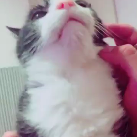 さかもと こしょこしょの巻❤️の画像
