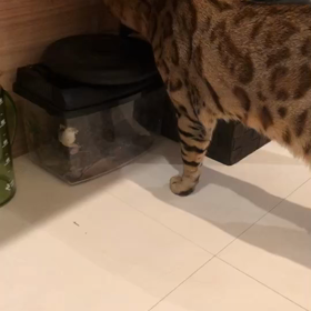 里親さんから。の画像