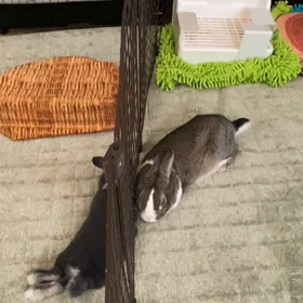 そのまま気づかないでくれれば♡の画像