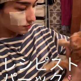 たおりゅうの画像