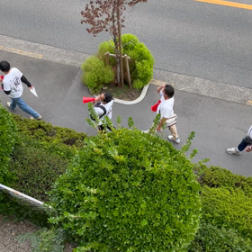 知ってもらいたい！大阪都構想投票日の画像