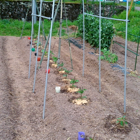 ざっと こんな感じです！の画像