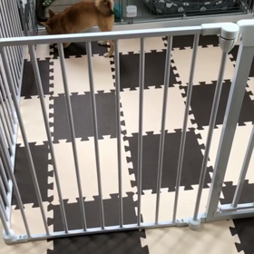 ゲージからサークルへの画像