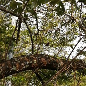 まだ夏は終わらない！との画像