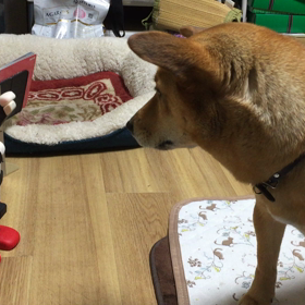 今日の小雪の画像