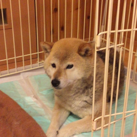 ゲリラ豪雨⁉️の画像