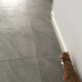 おはよう~の画像