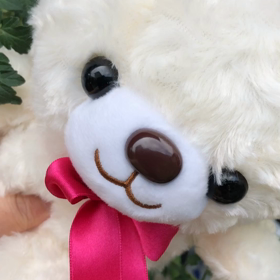 6月25日の気になる、きになるぅ〜の画像