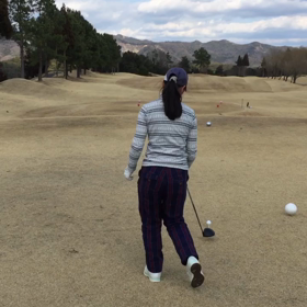 山本道場・練習ラウンド‼️の画像