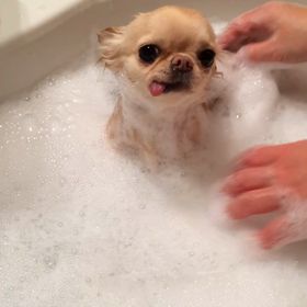 Bubble bath time!❤️の画像