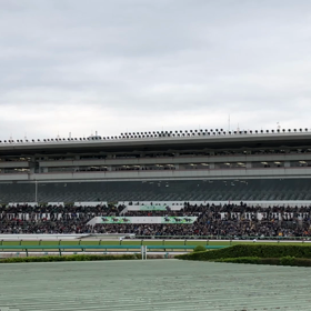 きょうの中山競馬場／動画の画像