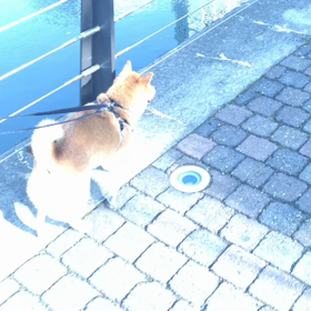 2019年11月24日の画像