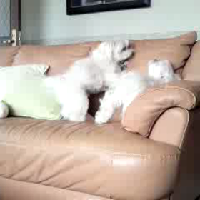 思い出(’-’*)♪の画像