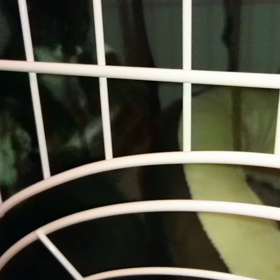 メイメイも気になったんだけどの画像