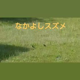 ほのぼのの画像