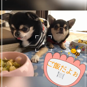 12月やないのーの画像