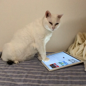 え？　どんくさいだって？の画像