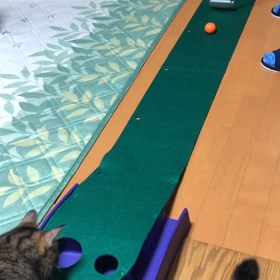 にゃいすいん⛳️の画像