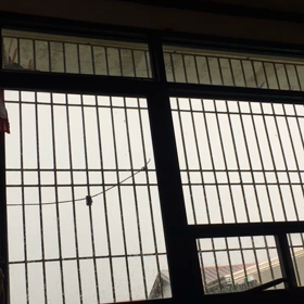 フィリピンの雨ーーー神超騒音の画像