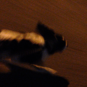 帰ると怒られるかな懐かしくての画像