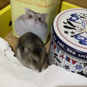 今は親友の画像