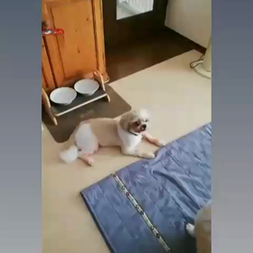 キュン♪の画像