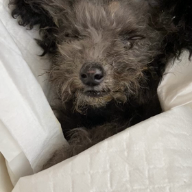 睡眠中の画像