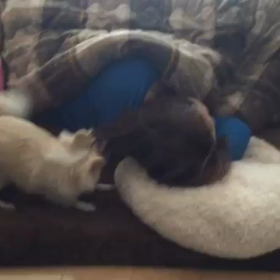 奥さん！マッサージどう⁉の画像