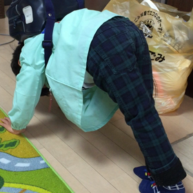 朝の恒例の画像