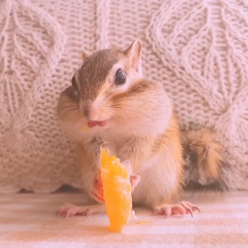 ももたろ美肌の秘訣♪の画像