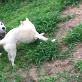 【動画】 早速の画像