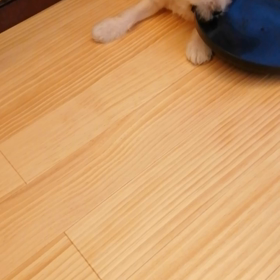 もしかして天才?の画像