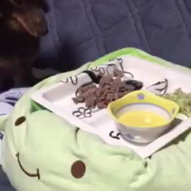 しょこらんのお誕生日dinner（動画）の画像