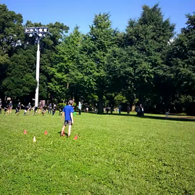 学年別インターバル(紺・黄緑・その他)③の画像