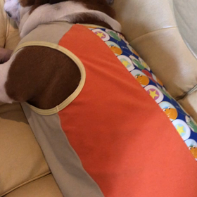 変わらないの画像