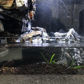 the用水路の景色‥の画像