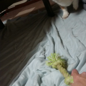 勢い付けて=3=3=3の画像