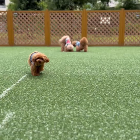 お久しぶりです♡の画像